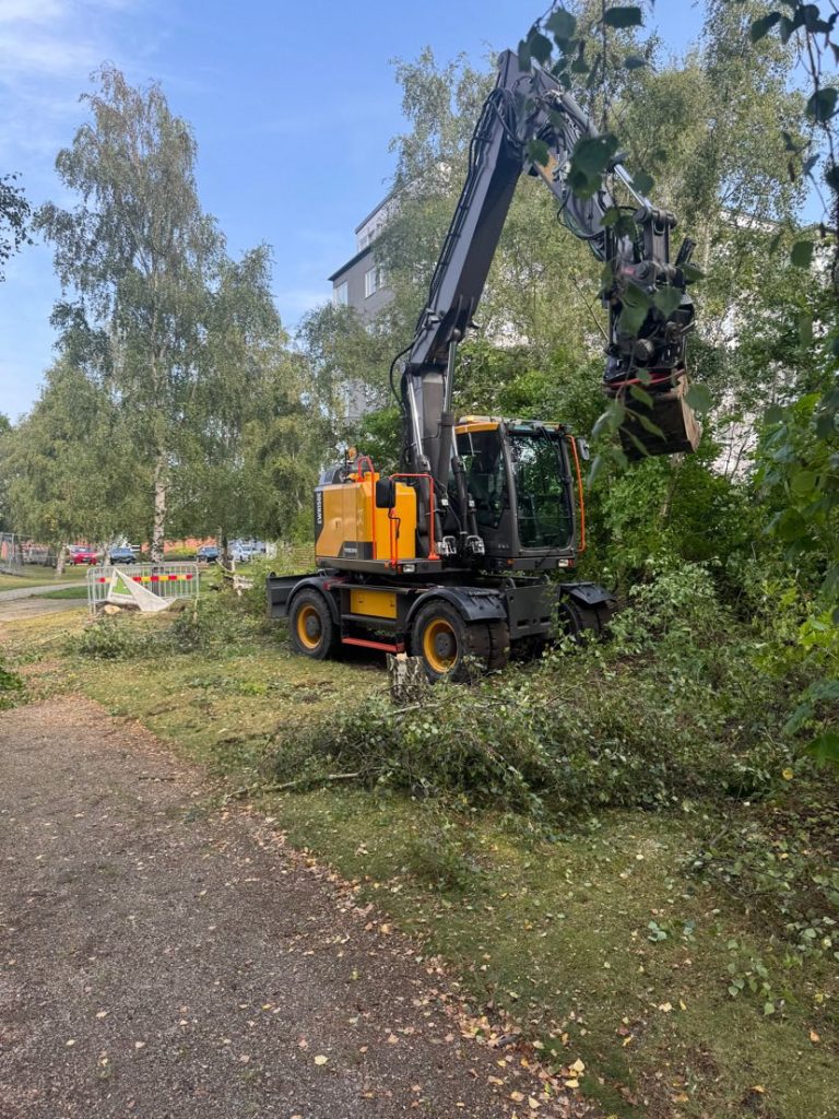 549643153 1368325788632431 798492971285236509 n